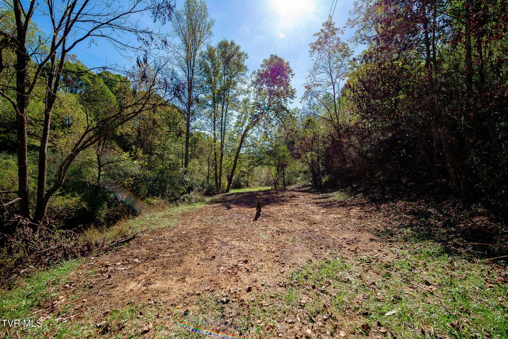 Photo of 0 Ponderosa Road, Nickelsville, VA 24271 (MLS # 9986916)