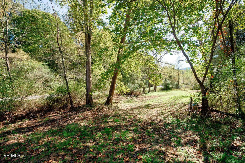 Photo of 0 Ponderosa Road, Nickelsville, VA 24271 (MLS # 9986916)