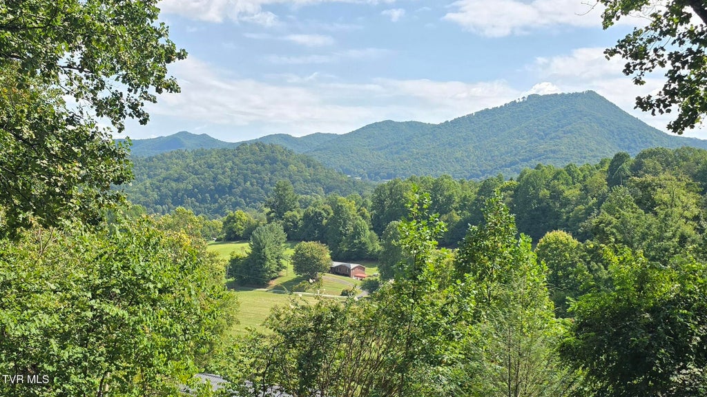 Photo of 222 Clay Little Road, Elizabethton, TN 37643 (MLS # 10000861)