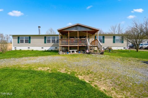 Homes For Sale - 740 Happy Valley Road<br/> Limestone, TN 37681