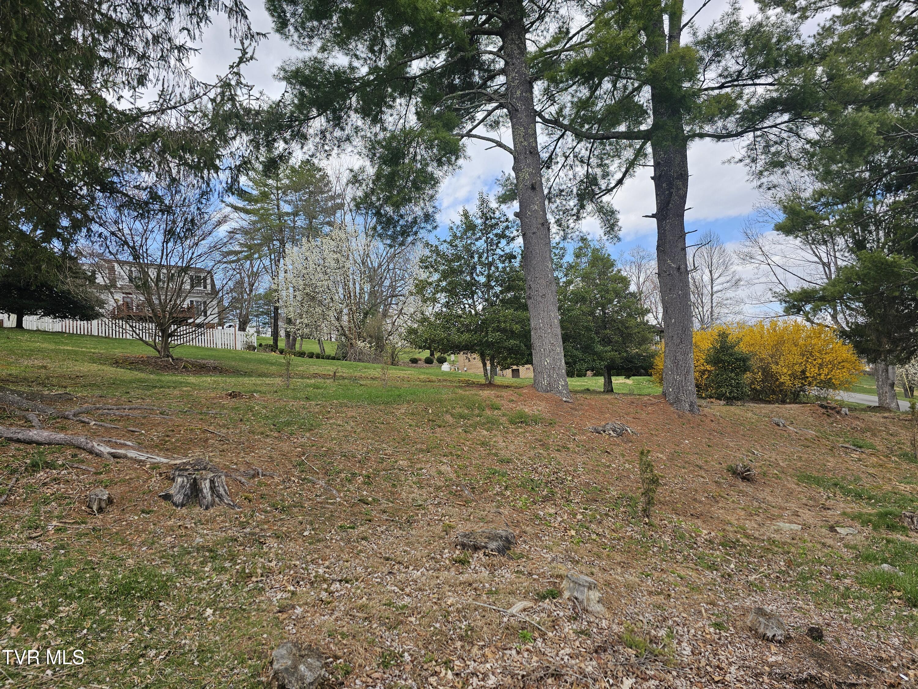 Tbd Orchard Lane, Wise, Virginia image 5