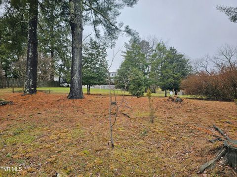 Vacant Land For Sale - TBD Orchard Lane<br/> Wise County, Wise, VA 24293