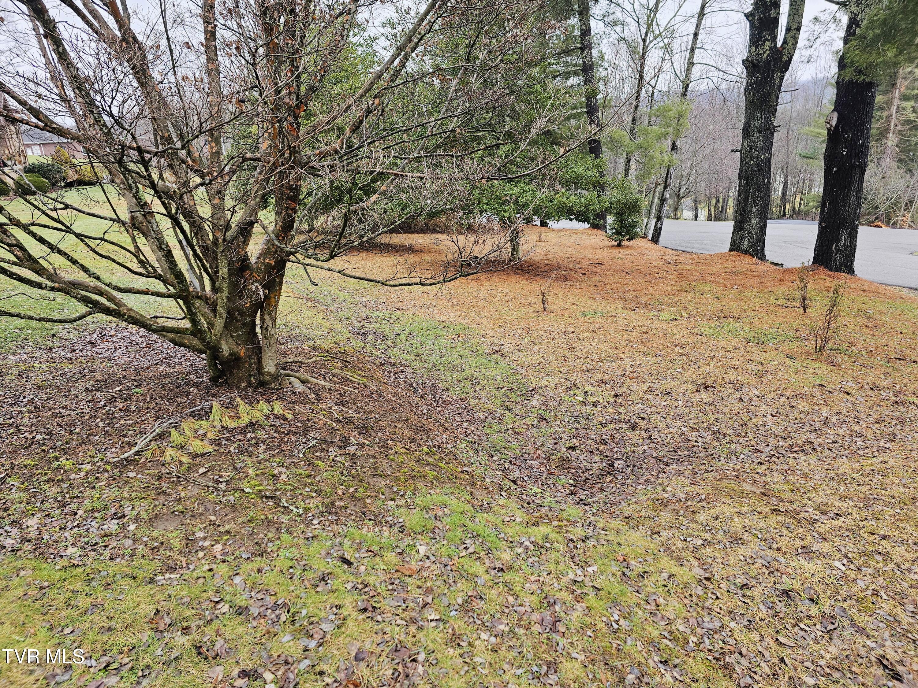 Tbd Orchard Lane, Wise, Virginia image 9