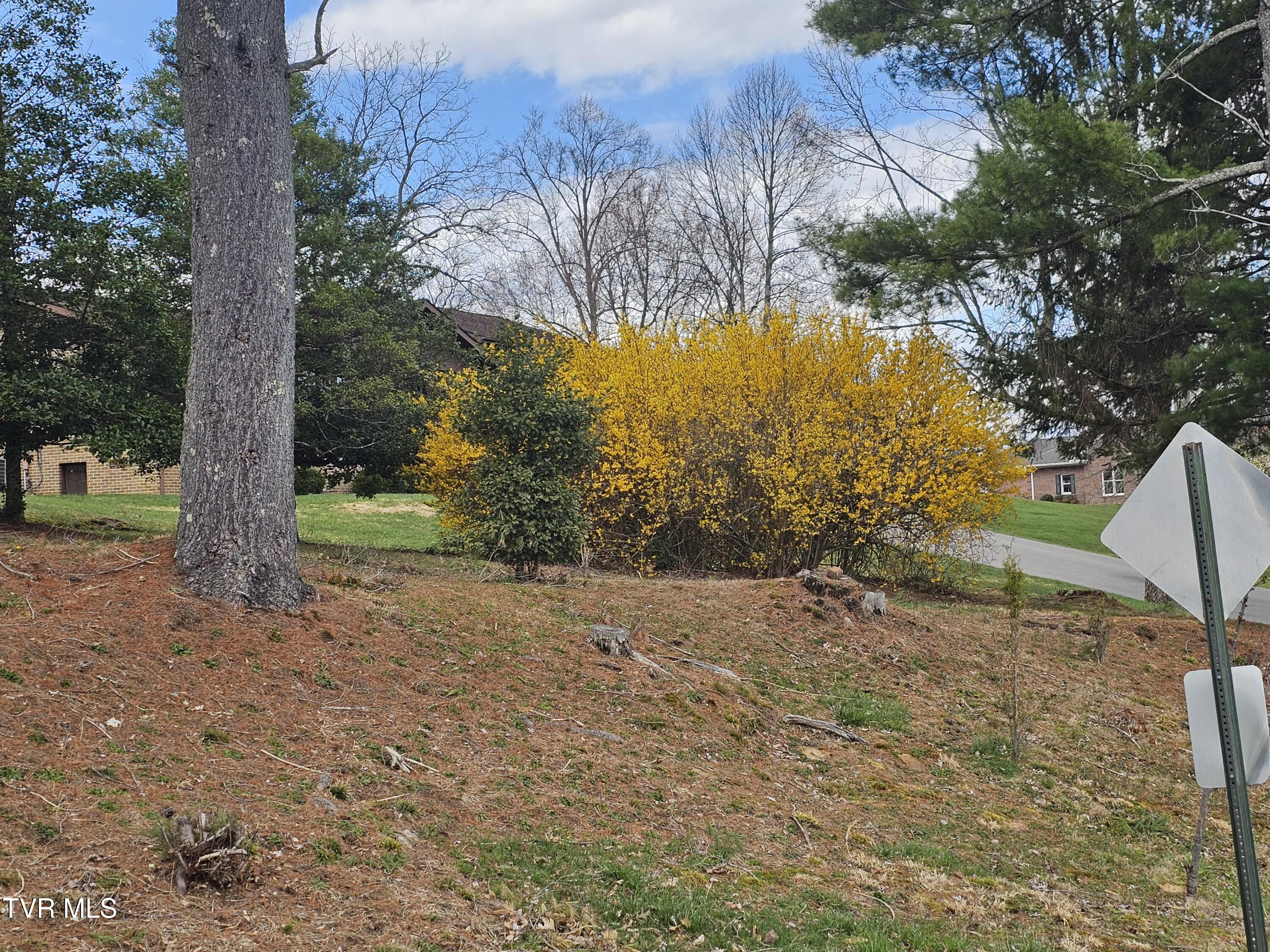 Tbd Orchard Lane, Wise, Virginia image 4