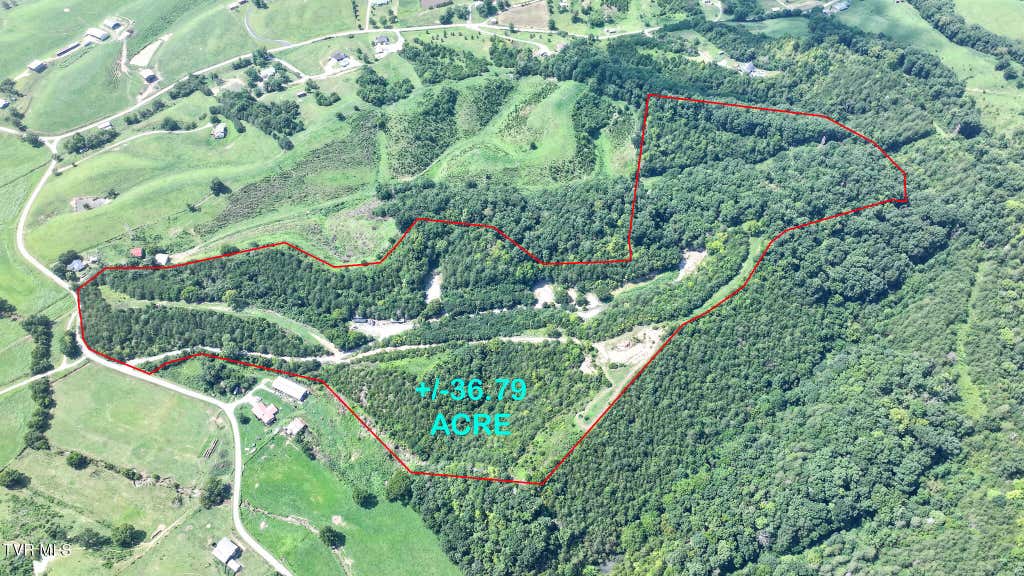 Photo of 1610 Robert Harmon Road, Greeneville, TN 37745 (MLS # 9999018)