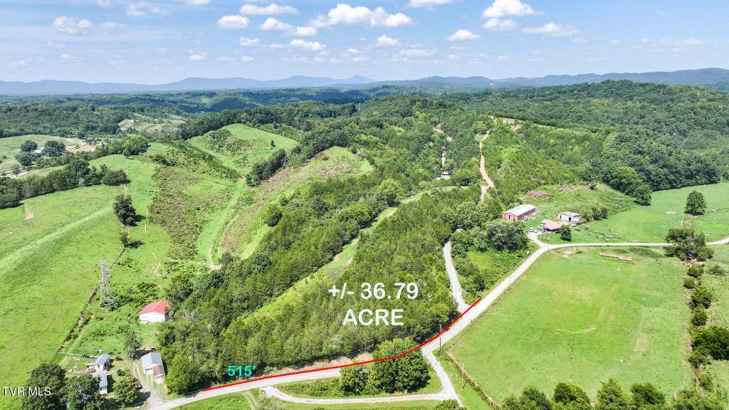 Photo of 1610 Robert Harmon Road, Greeneville, TN 37745 (MLS # 9999018)