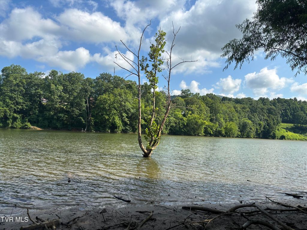 Photo of Tbd Roan Creek Road, Butler, TN 37640 (MLS # 9983553)