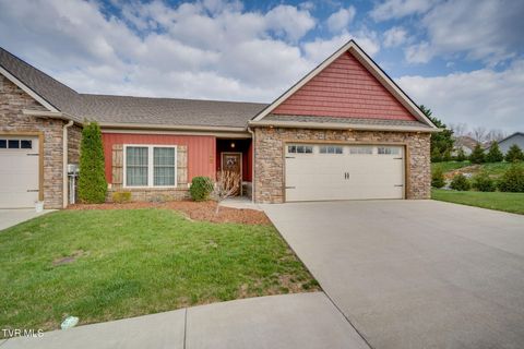 Photo of 80 Mill Race Court #-, Gray, TN 37615 (MLS # 9993204)
