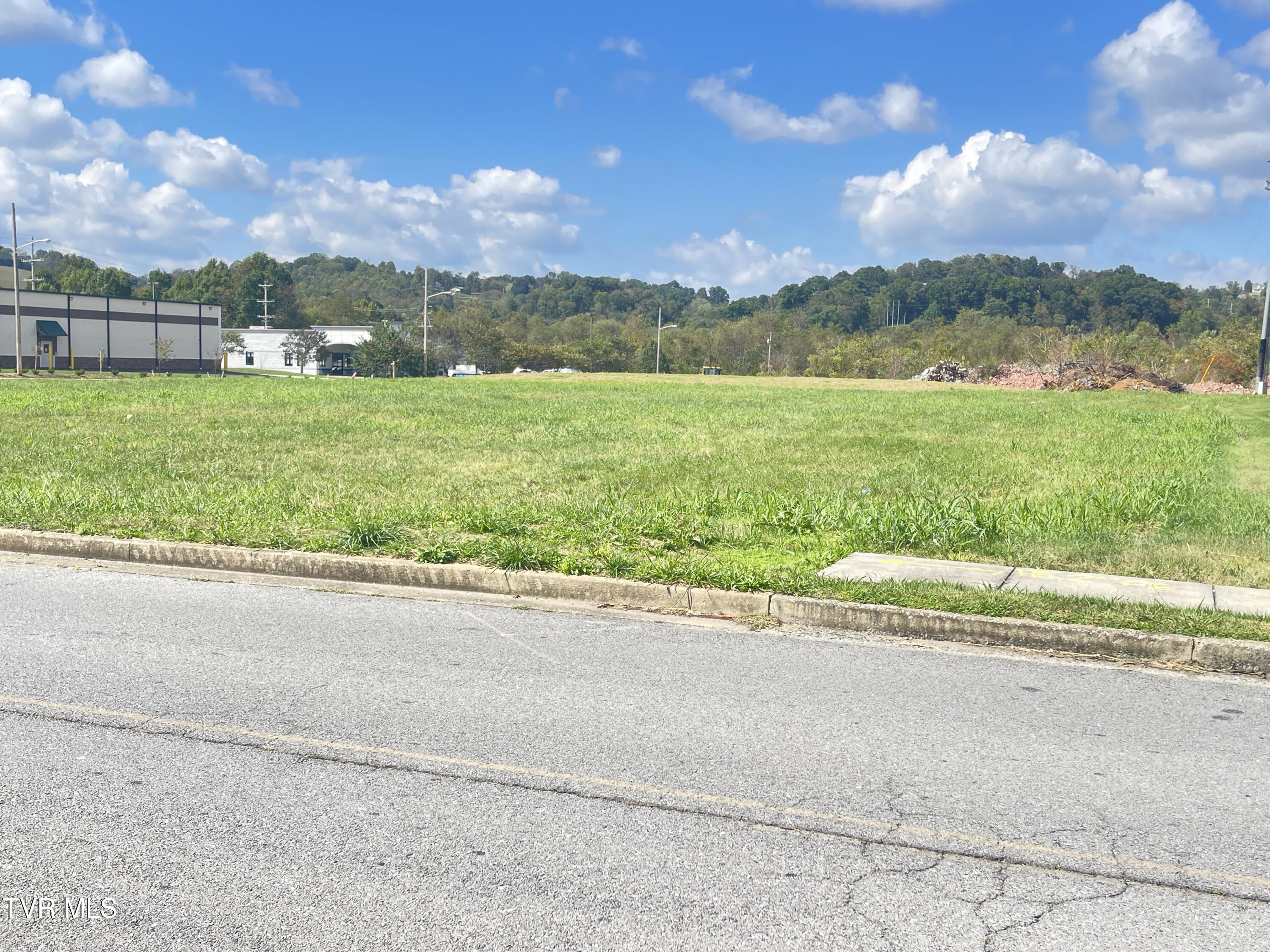 West Elk West/1011 Over Mtn Dr Avenue, Elizabethton, Tennessee image 5