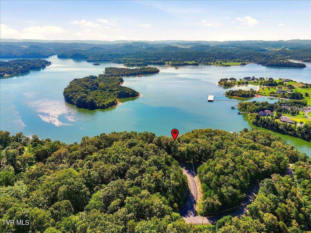 Photo of 1007 Wilderness Drive, Mooresburg, TN 37811 (MLS # 10000274)