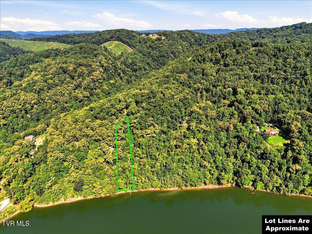 Photo of 1007 Wilderness Drive, Mooresburg, TN 37811 (MLS # 10000274)