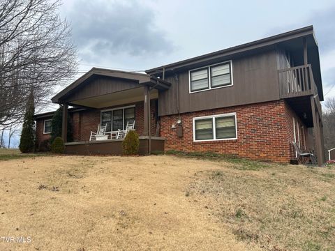 Homes For Sale - 1130 Hixson Avenue<br/> Greeneville, TN 37743