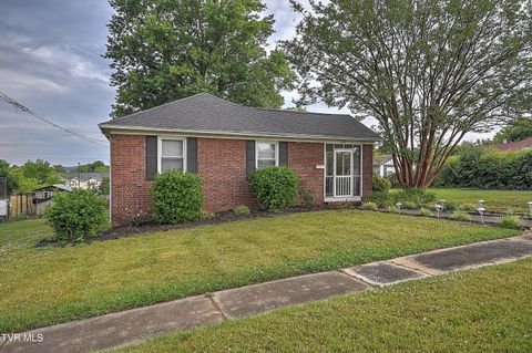 Homes For Sale - 818 Birch Street<br/> Kingsport, TN 37664