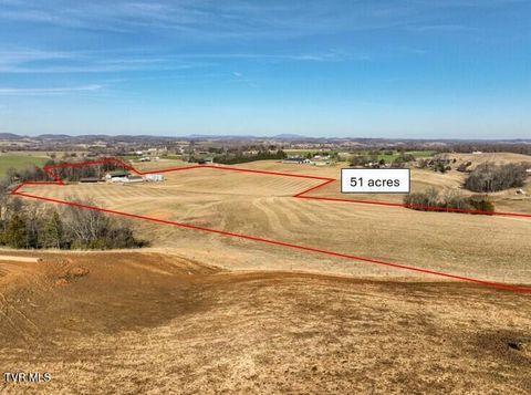 Vacant Land For Sale - TBD Corby Bridge Rd.<br/> Limestone, TN 37681