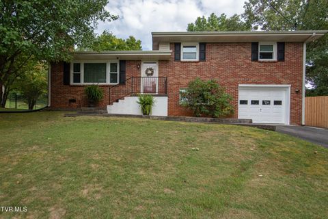 Photo of 441 Merriwood Drive, Bristol, TN 37620 (MLS # 9995677)