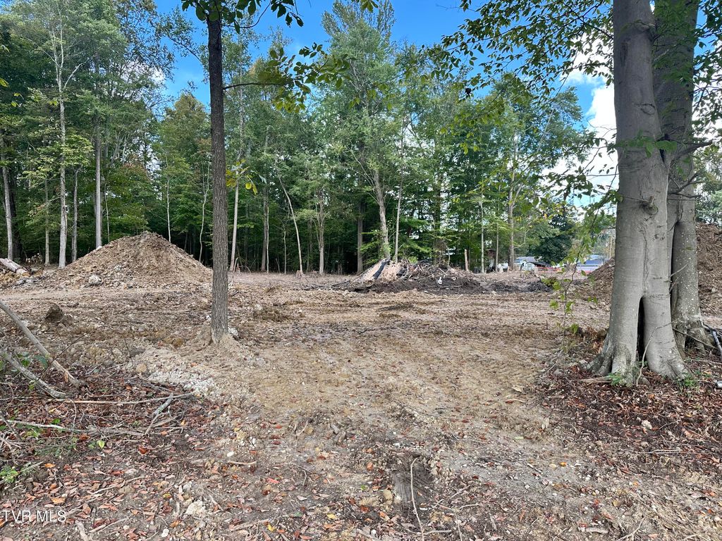 Photo of 1 Highway 70s, Rogersville, TN 37857 (MLS # 9986314)