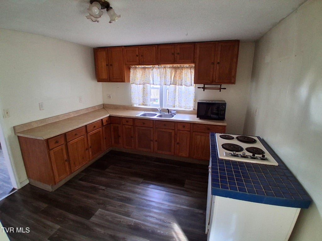 Photo of 171 Hob Knob Drive, Gate City, VA 24251 (MLS # 10000957)