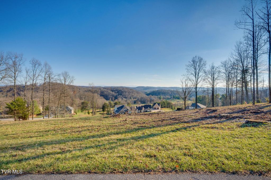 Photo of 1230 Ridgetop Trail, Kingsport, TN 37664 (MLS # 9988963)