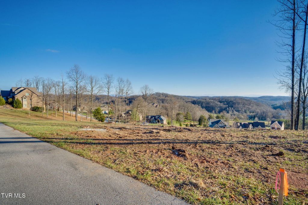 Photo of 1230 Ridgetop Trail, Kingsport, TN 37664 (MLS # 9988963)