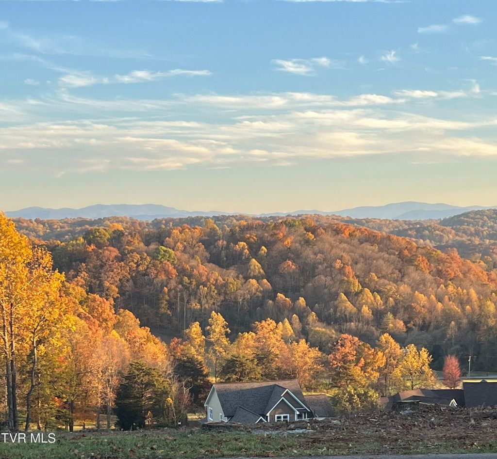 Photo of 1230 Ridgetop Trail, Kingsport, TN 37664 (MLS # 9988963)