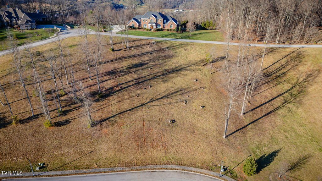 Photo of 1230 Ridgetop Trail, Kingsport, TN 37664 (MLS # 9988963)