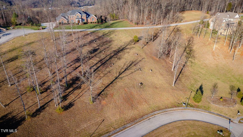 Photo of 1230 Ridgetop Trail, Kingsport, TN 37664 (MLS # 9988963)