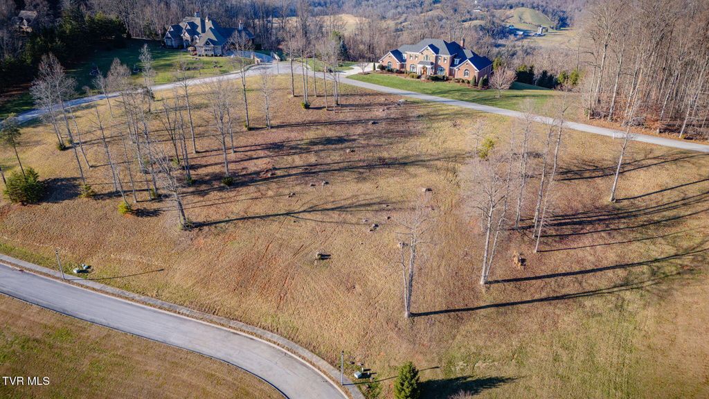 Photo of 1230 Ridgetop Trail, Kingsport, TN 37664 (MLS # 9988963)