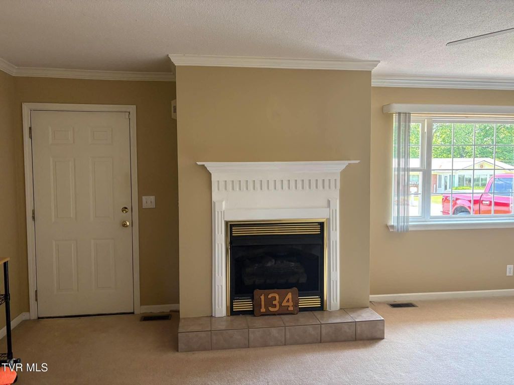 Photo of 134 Briarwood Drive, Gray, TN 37615 (MLS # 9994917)
