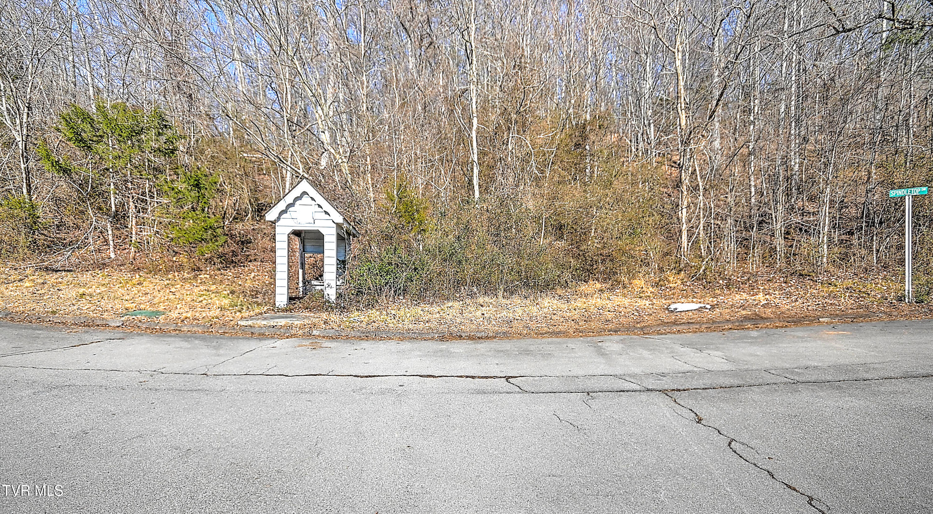 123 Spindletop Drive, Rogersville, Tennessee image 14