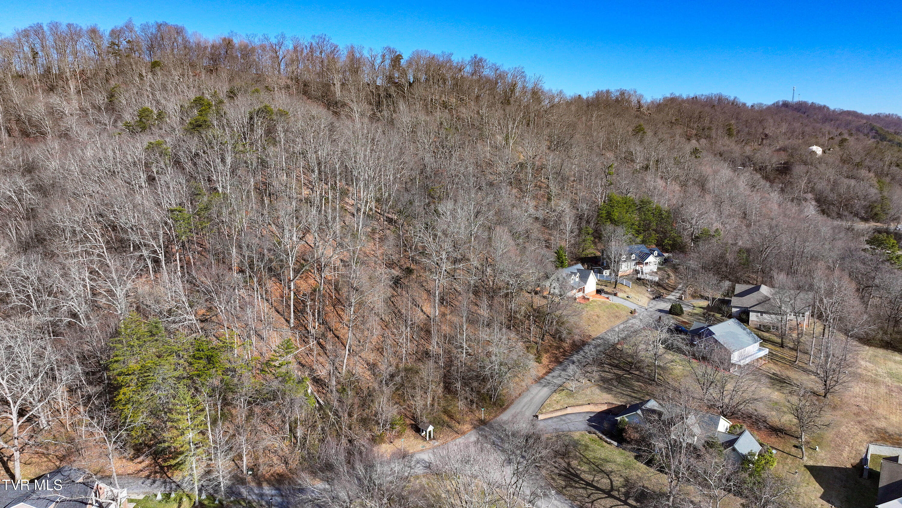 123 Spindletop Drive, Rogersville, Tennessee image 11