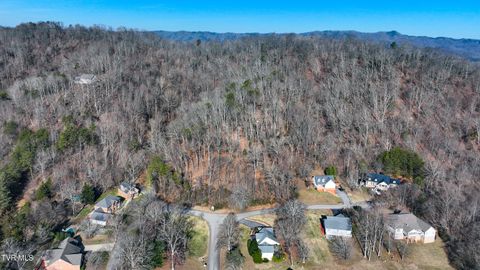 Vacant Land For Sale - 123 Spindletop Drive<br/> Rogersville, TN 37857