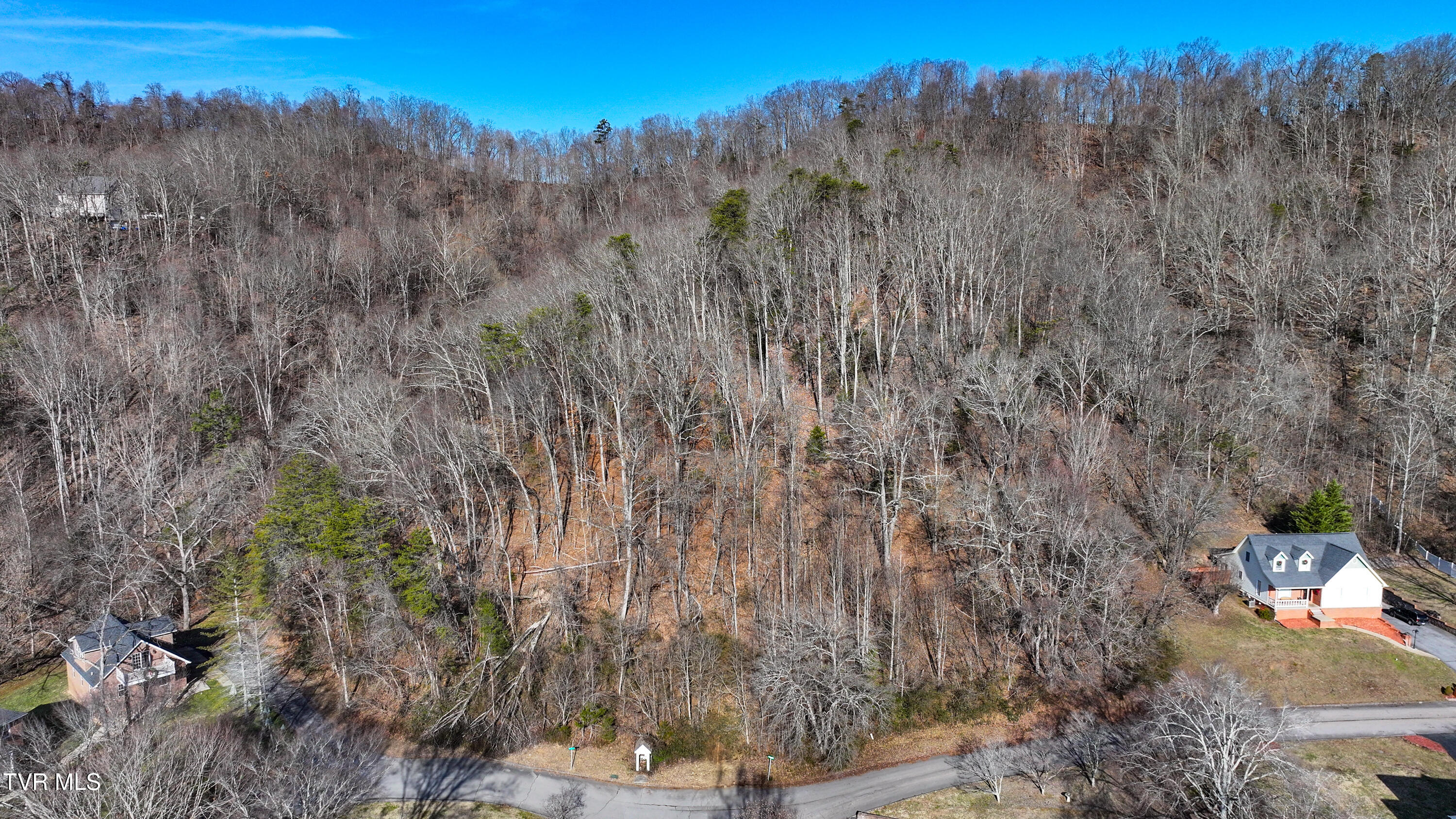 123 Spindletop Drive, Rogersville, Tennessee image 17