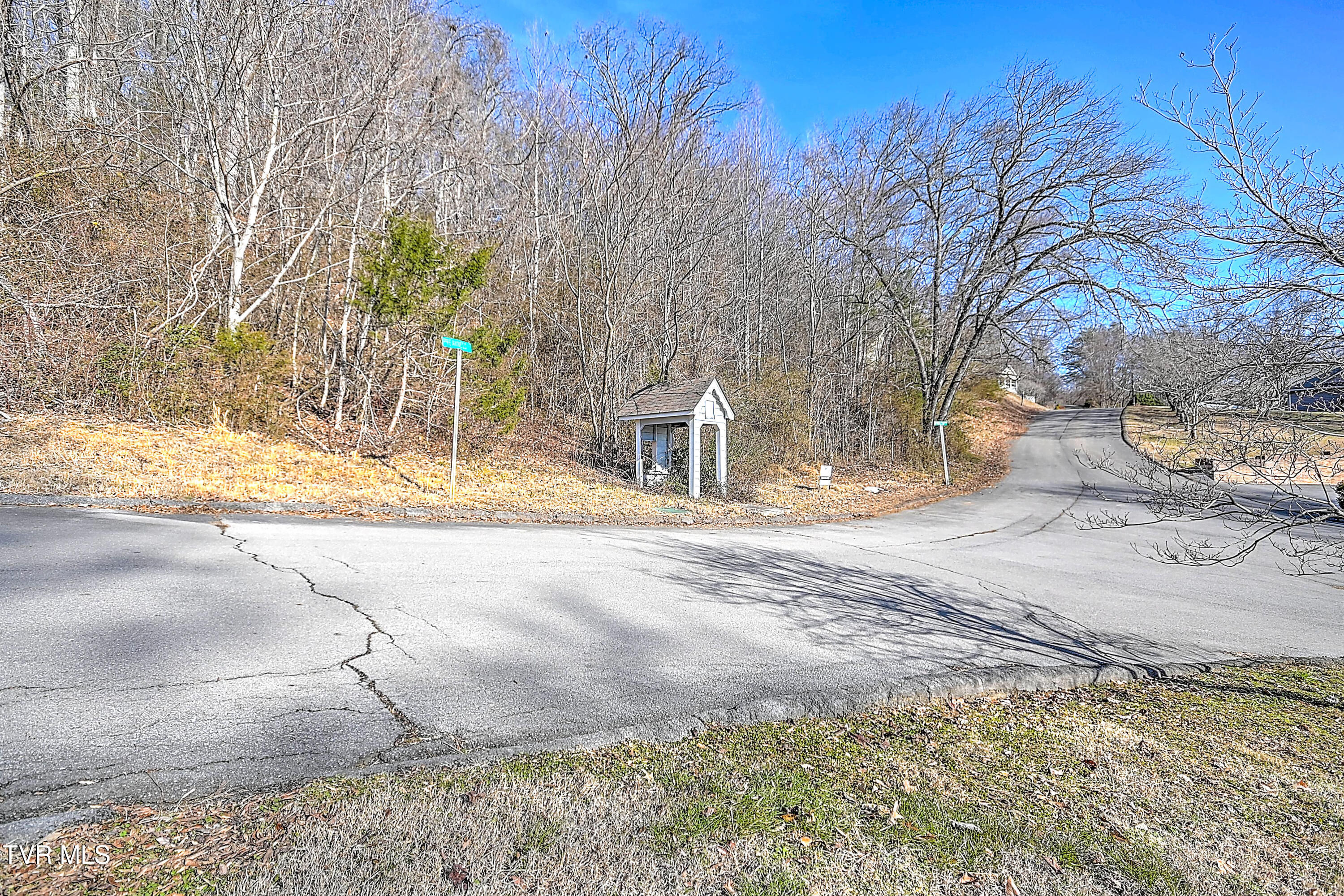123 Spindletop Drive, Rogersville, Tennessee image 9
