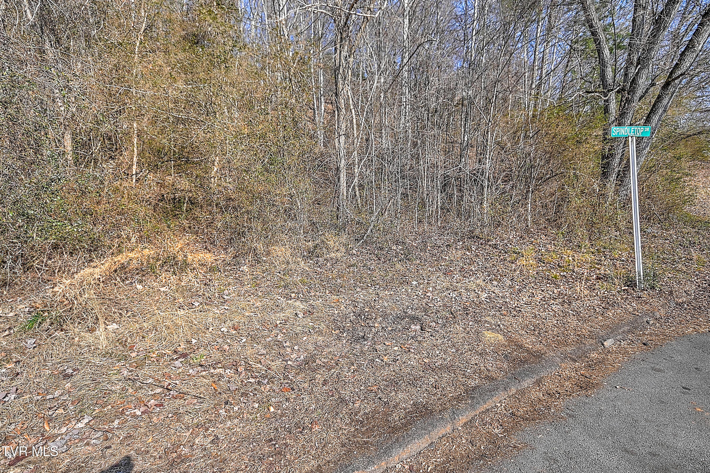 123 Spindletop Drive, Rogersville, Tennessee image 12