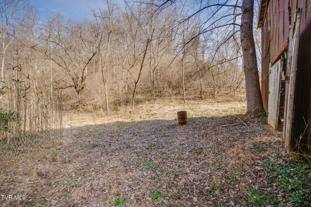 Photo of 2595 Sinking Creek Highway, Dungannon, VA 24245 (MLS # 9990582)