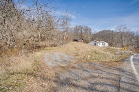 Vacant Land For Sale - 2595 Sinking Creek Highway<br/> Dungannon, VA 24245
