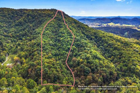 Vacant Land For Sale - Mcmakin Road<br/> Rogersville, TN 37857