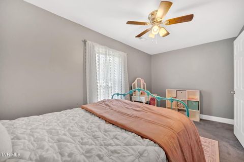 Tiny photo for 2620 Pearl Street, Kingsport, TN 37660 (MLS # 9986439)
