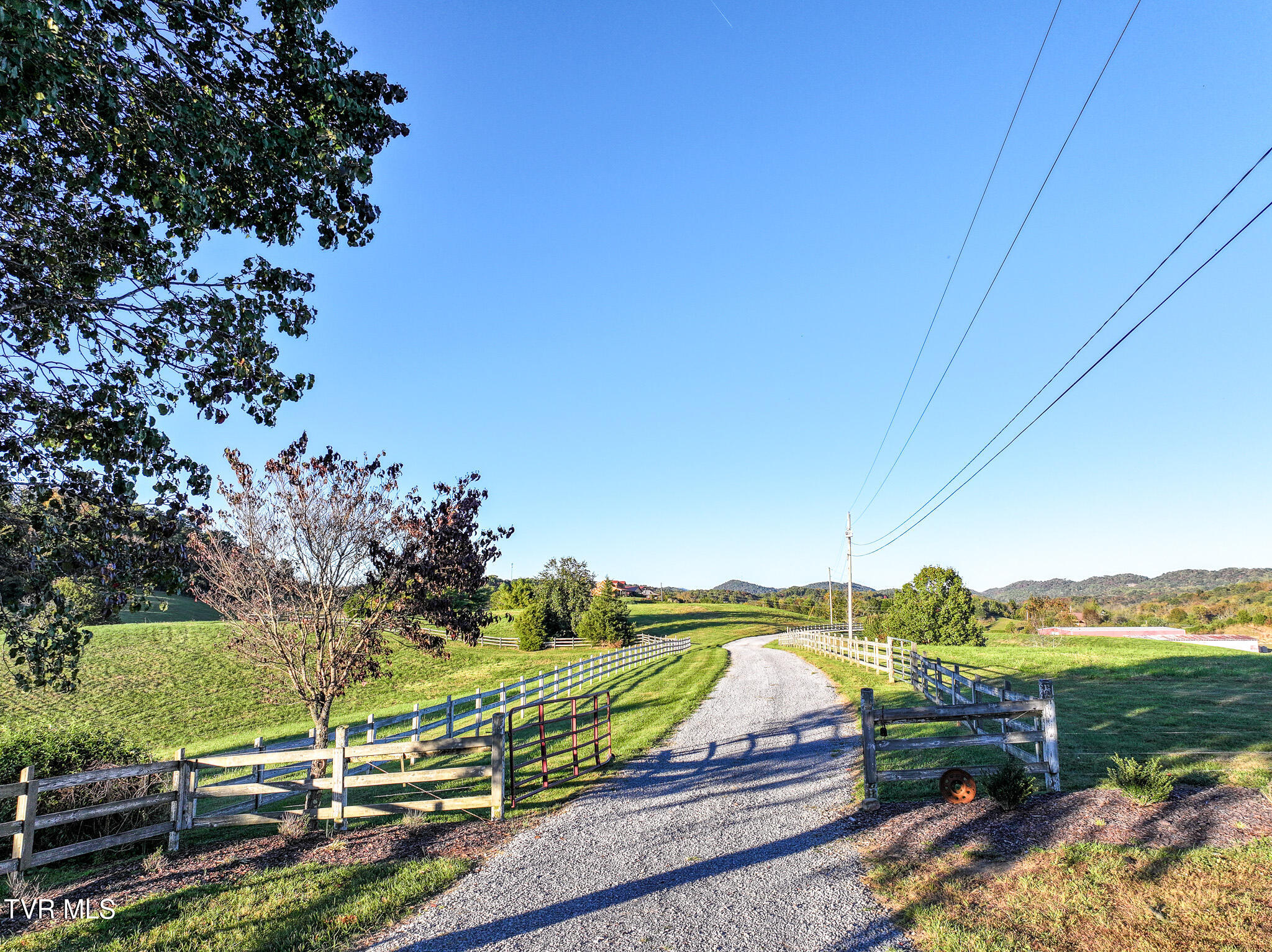 290 Roaring Fork Road