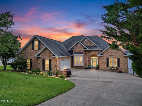 Photo of 391 Back Nine Drive, White Pine, TN 37890 (MLS # 9999299)