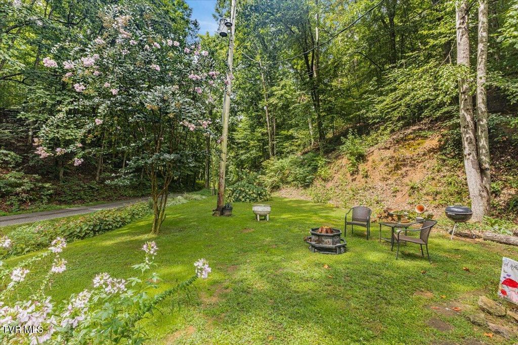Photo of 415 Stone Mtn Road, Bulls Gap, TN 37711 (MLS # 9994830)