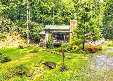 Photo of 415 Stone Mtn Road, Bulls Gap, TN 37711 (MLS # 9994830)
