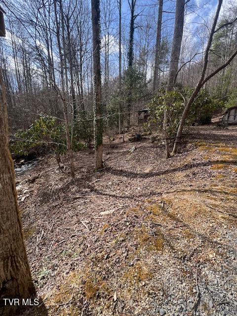 200 Little Bald Creek Road, Erwin, Tennessee image 10
