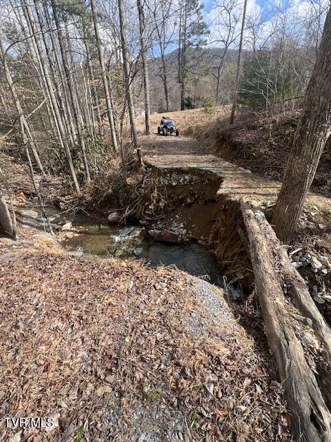 200 Little Bald Creek Road, Erwin, Tennessee image 11