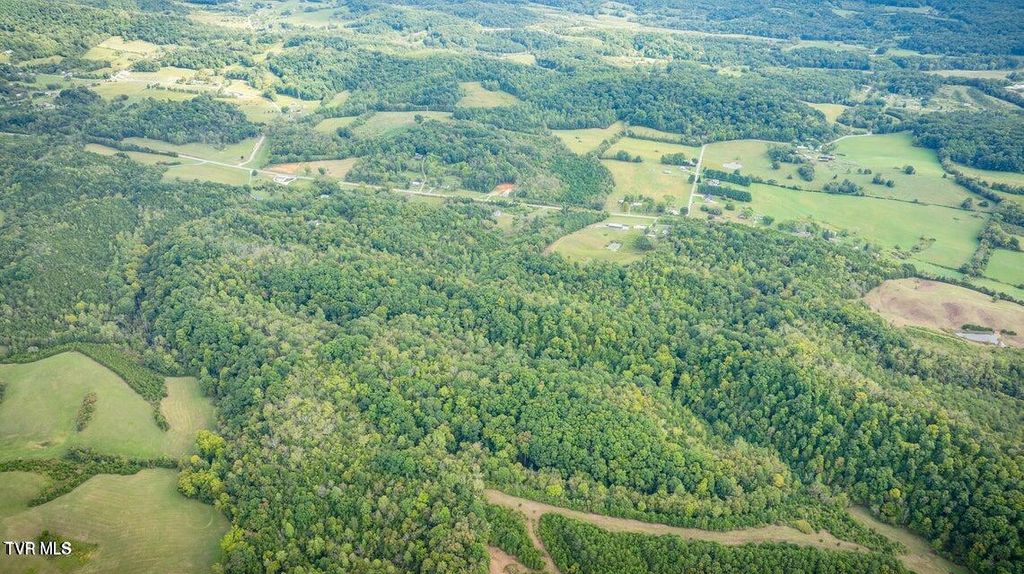 Photo of Tbd Baileyton Road, Greeneville, TN 37745 (MLS # 9994041)
