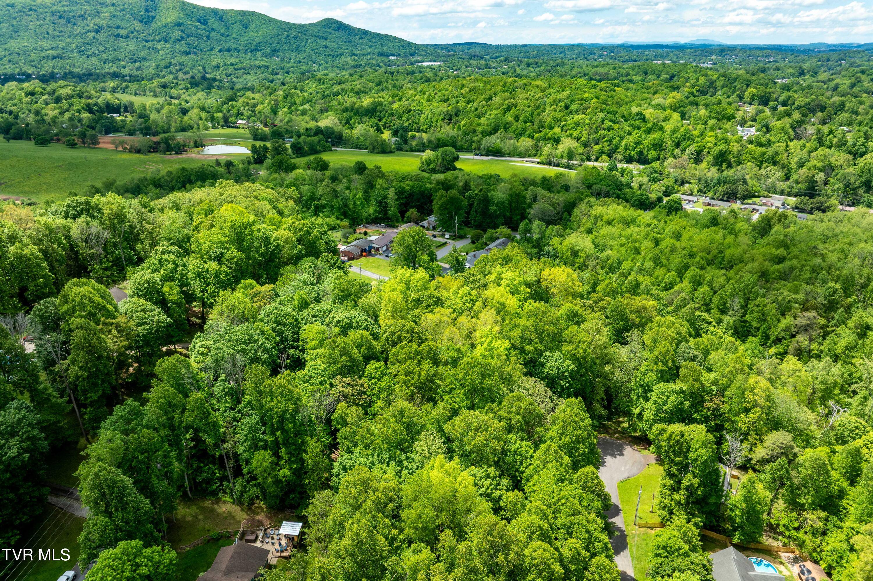 Tbd Victor Drive, Johnson City, Tennessee image 13