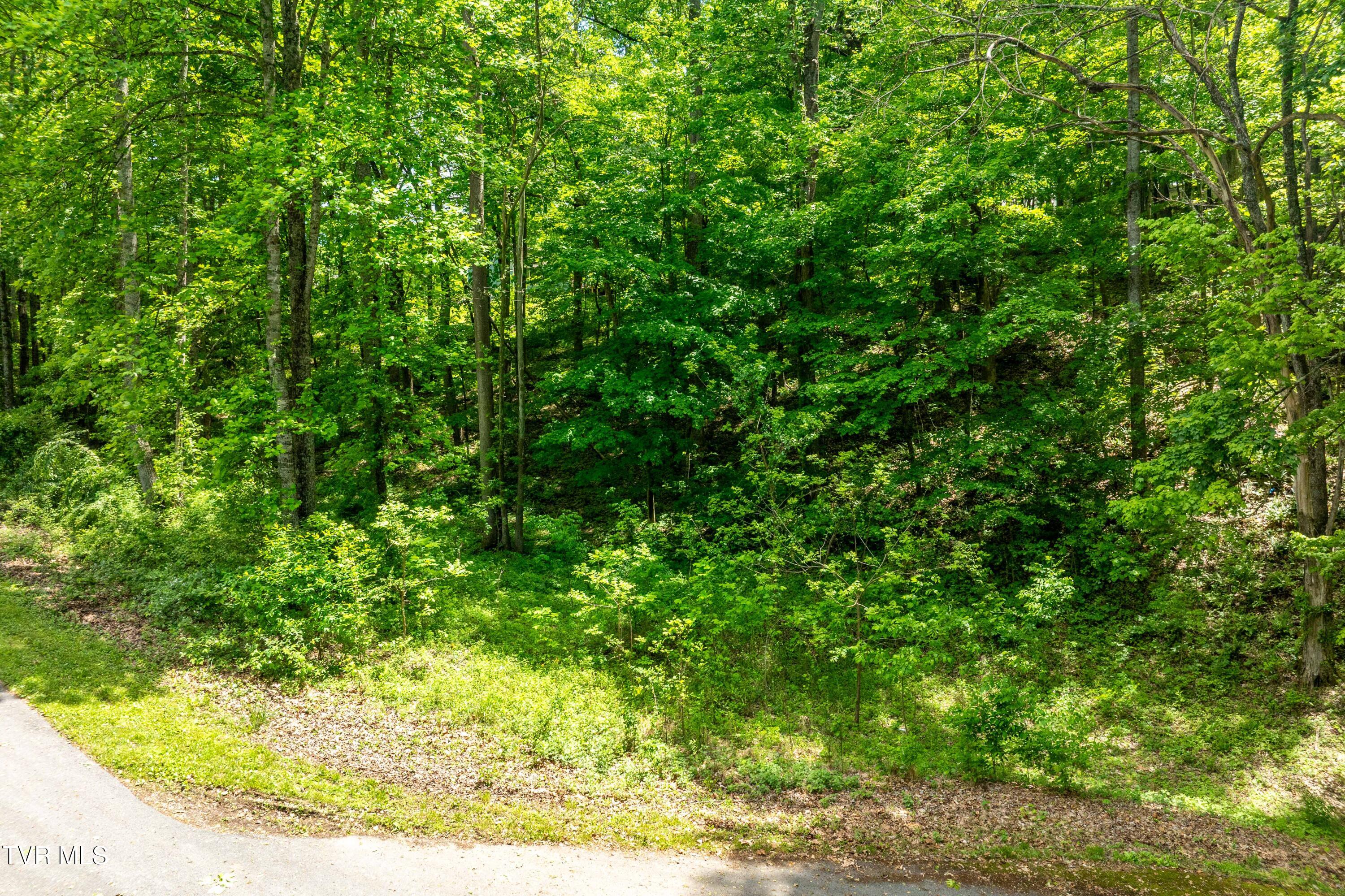 Tbd Victor Drive, Johnson City, Tennessee image 16