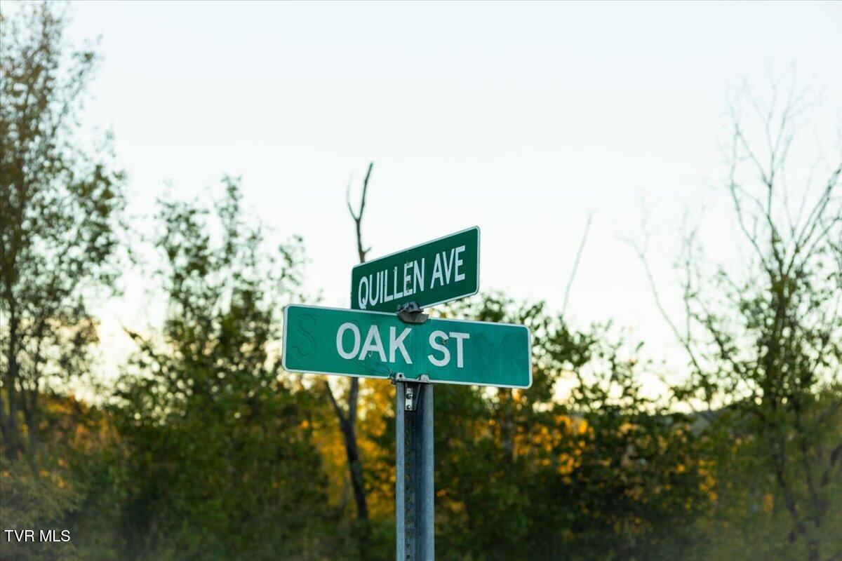 114 Quillen Avenue Avenue, Bulls Gap, Tennessee image 5