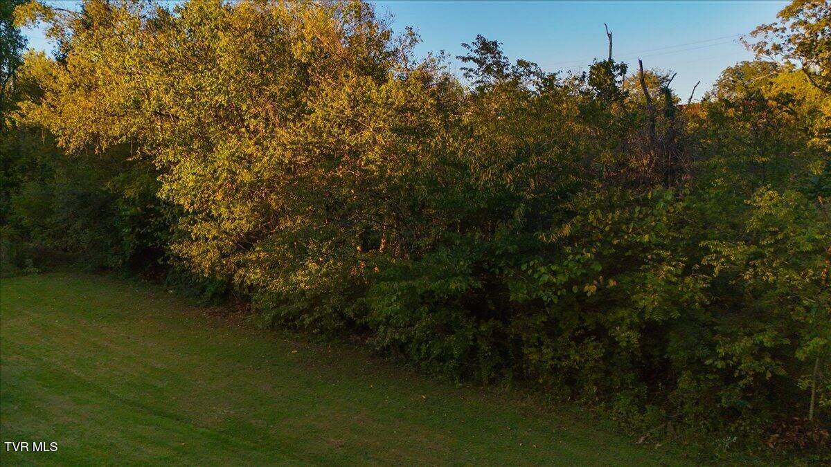 114 Quillen Avenue Avenue, Bulls Gap, Tennessee image 13