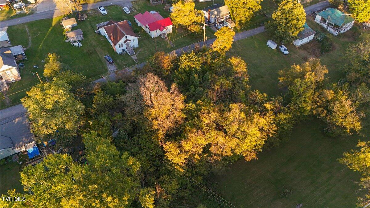 114 Quillen Avenue Avenue, Bulls Gap, Tennessee image 12